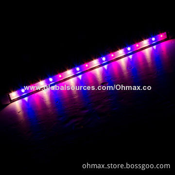 Hydroponics LED Grow Light, IP65 for Indoor Garden/Greenhouse/Farms Plants Growing